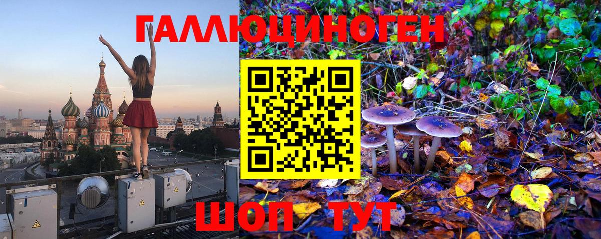 Галлюциногенные грибы Magic Shrooms  Псилоцибиновые грибы мицелий  Вход с VPN  Менделеевск 